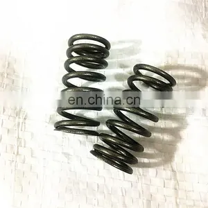 Motorbikes Parts Springs Steel Engine Valves for YAMAHA WR450F YFZ450 WR125X WR125R YP125R YZ450F FANTIC CABALLERO 125 R MBK 125 thumbnail-4