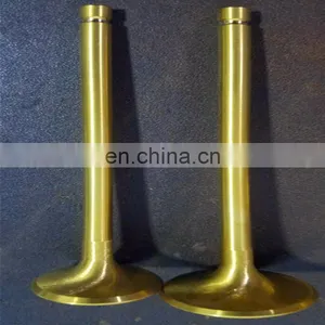 New Discount Automotive Spare Parts Diesel Engine Valve For Asia Topic Towner 2009-2010 thumbnail-3