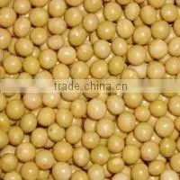 Soybean thumbnail-1