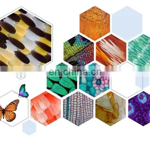 Low Price Simple Microscope With Monocular Head thumbnail-5