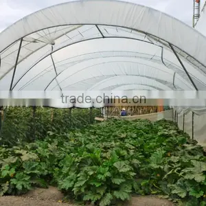 Greenhouse Structure Pole Ancher Stake in Horn Shape thumbnail-5