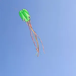 OEM All Shapes, Design and Kinds of Kites for Advertising and Activities Occasions thumbnail-1