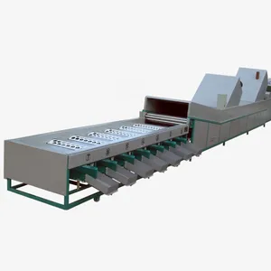 Orang Sorter Machine/ Mandarin Orange Sorting Machine/ Apple Grading Machine thumbnail-1
