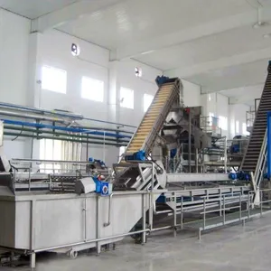 Canned Tomato Paste Processing Plant / Tomato Jam Production Line thumbnail-4