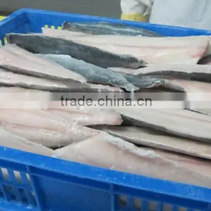 Hight Quality IQF Japanses Frozen Spanish Mackerel Fillets thumbnail-1