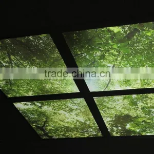 MICROSTONE Nice Design Color Printing Luxurious Led Panel Light thumbnail-4
