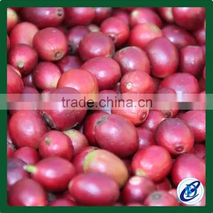 Arabica Green Coffee Beans,Best Price Coffee Beans thumbnail-1
