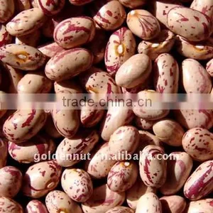 Light Speckled Kidney Beans(round Type) thumbnail-1