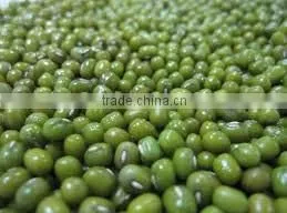 Organic Fresh Green Beans thumbnail-1
