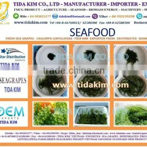 ORGANIC COCONUT WATER UHT TIDA KIM TETRA BOX 330ML 100ML - BLACK PEPPER - VIETNAM CASHEW NUTS- DESICCATED COCONUT thumbnail-4