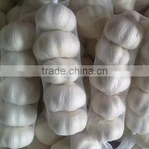 2016 NEW CROP GARLIC thumbnail-5