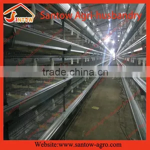 How to Build Stable Steel Structure Battery Cages for Chickens thumbnail-1