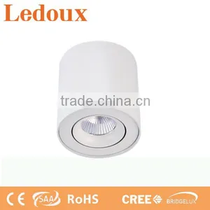 Modern White Adjustable Surface Mounted Ceiling Light thumbnail-1