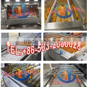 Air Bubble Fruit and Vegetable Washer / Orange Washing Machine thumbnail-4