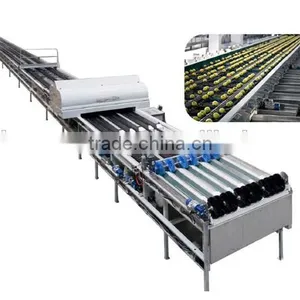 Online Cleaning and Automatic Sorting Machine for Cherry Tomato Fruit thumbnail-6