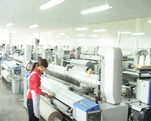 Wujiang Tianen Textile Development Co., Ltd. company overview - view 2 thumbnail