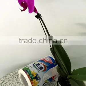 OEM Brand Name Private Label for Glass Jam Self Adhesive Labels Stickers thumbnail-1