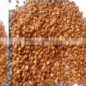 Roasted Buckwheat 2010 Crop thumbnail-1