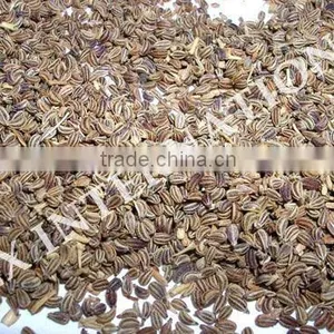 Ajwain/Pure Carum Copticum / Bishop's Weed thumbnail-1