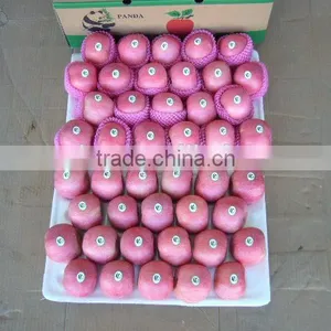 Fresh Apple Fruit Wholesale Distributors thumbnail-4