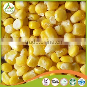 Frozen Canned Sweet Corn thumbnail-5