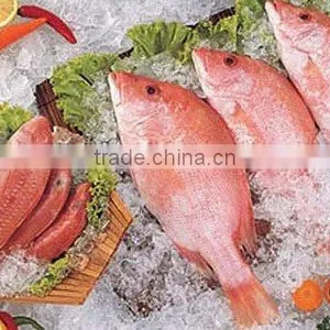 Red Mullet (Parupeneus Heptacanthus) thumbnail-1