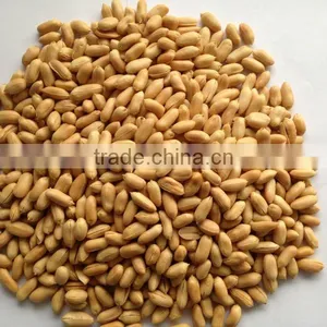 Chinese Fried Peanuts thumbnail-1