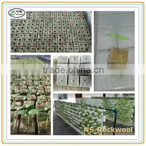 Hydroponic Grow Rockwool Starter Cubes for Agriculture thumbnail-5