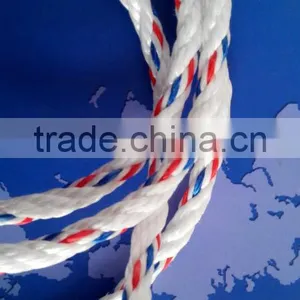 Supplier Danline Rope pp Material in Stock thumbnail-2