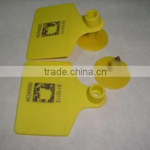 Ear Tag thumbnail-1