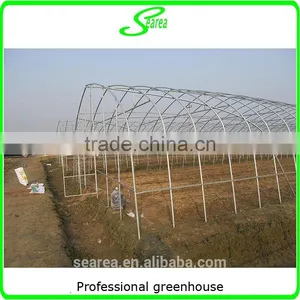 Durable Galvanized Steel Frame Greenhouse Agricultural Greenhouse thumbnail-3
