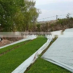 PP NON WOVEN AGRICULTURE CLOTH Also Widely Use thumbnail-3