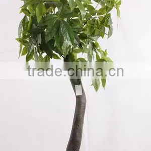 CHY030928 Potted Money Bonsai Tree/high Initation Fake Tree With Good Futurn thumbnail-2