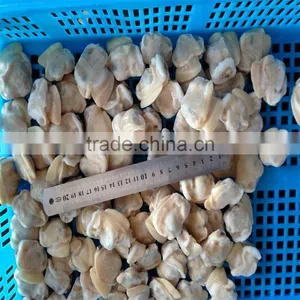 Frozen Boiled Short-necked Clam Meat thumbnail-1