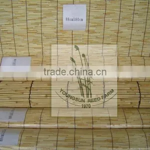 Reed Fence thumbnail-1