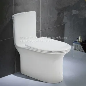 Water Closet One Piece Girl Toilet Hidden Spy Siphonic Toilet Sets thumbnail-1