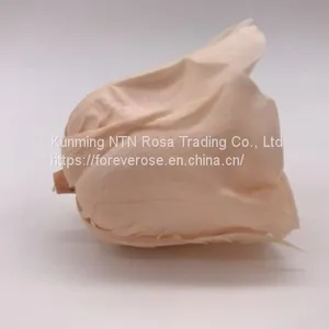 Preserved Flowers Wedding Bridal Bouquets Natural Eternal Roses thumbnail-2