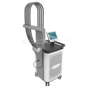 1060 nm Laser Lipo Laser Slimming Machine SculpSure Laser Fat Burning Machine thumbnail-3