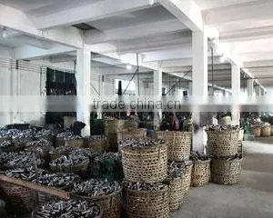 Chaozhou Chaoan Baoshan Flashlight Co., Ltd. company overview - view 3 thumbnail