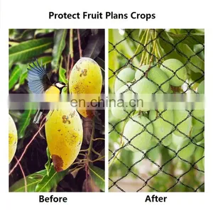 Agriculture HDPE Customized Anti Bird Net Garden Greenhouse Horticulture Plant Protection Cover Weaved thumbnail-5