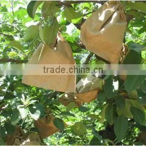 2 Layers Fruit Protection Pear Bag for Growing thumbnail-3