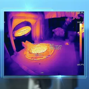 TN460U Online Thermal Camera | Ultra-Wide Temp Range, High-Res IR Imaging, Secondary Development Support thumbnail-1