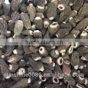 New Crop High Quality in Season Cultivating Morel Mushrooms Morchella thumbnail-5