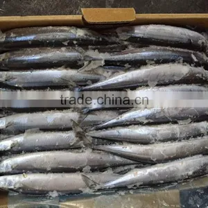 1# 120-140G Frozen Pacific Saury From China thumbnail-2