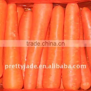 Fresh Carrot thumbnail-1