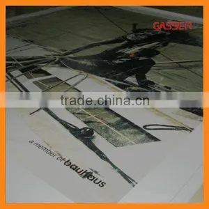 Wall Mounted Vinyl Banner,large Format Indoor Mounting Display Banner thumbnail-6