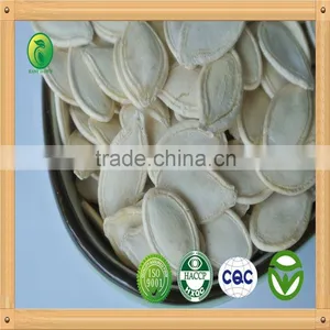 Shine Skin Pumpkin Seeds Wholesale Raw Material thumbnail-1