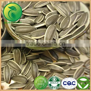 Chinese Cheap Sunflower Seeds For Sale thumbnail-1