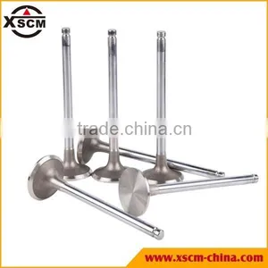 Durable Engine Inlet Valve D04-110-33 Used for Shanghai thumbnail-1