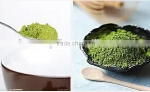 High Quality Organic Matcha Green Tea Powder / Premium Matcha thumbnail-3